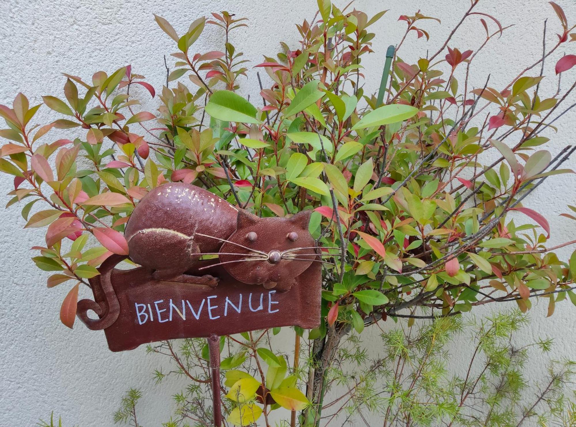 Du Cote De Chez Paule, Chambre Avec Entree Independante Et Salle D'Eau Privative Séméac Exteriör bild